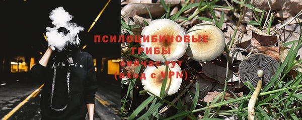 первитин Белокуриха