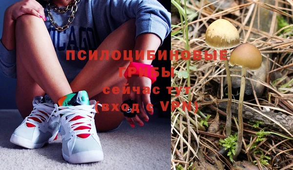 хмурый Белоозёрский