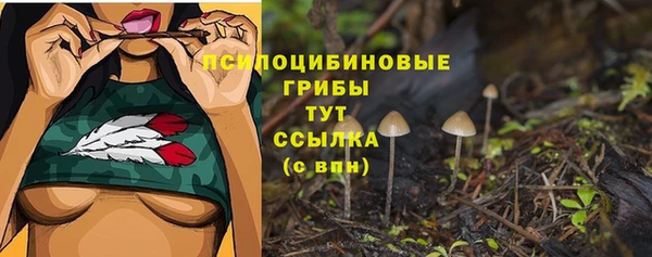 хмурый Белоозёрский